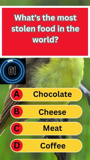 Only Geniuses Know All 3 😳🧠 #Quiz #Trivia #shorts #viral