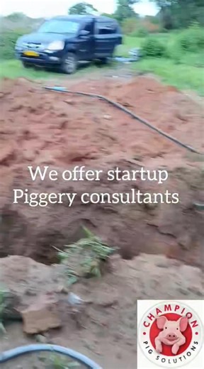Thinking of starting a business this year, consider Pig farming and if you are a startup, we are inviting you to our first PRACTICAL training on pig production and management on 31 January 2025. It's the best class that can assist you on understanding the best management practices, understand budgeting & costing and profitability analysis. Venue: No. 2 Roseneath Drive Nora Valley, Ruwa (close to Mutangadura shops along Mutare road) Time: 0800Hrs Fee: $50 (includes training materials & refreshmen