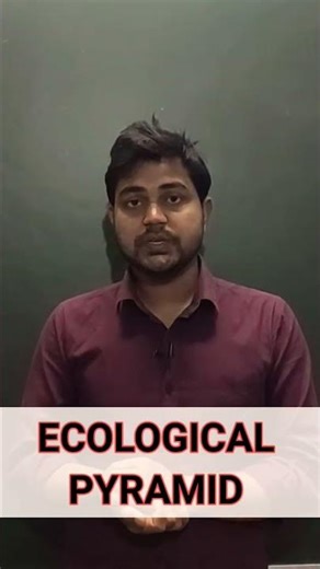 Ecological Pyramid, Concept,types and function #ecology #wildlife #trending #education #viral #bio