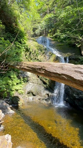 99K views · 1.3K reactions | Tucked just off Highway 14 near Jordan...