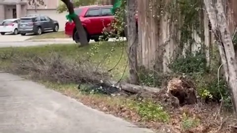 Strong winds cause damage, uprooted trees in San Antonio