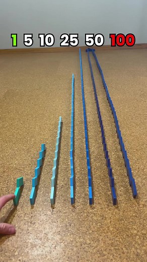 Small to Large Sonimod domino chain | dominos