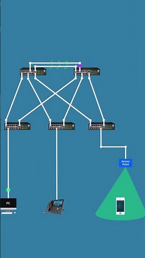 What is PVID || VLAN Tagging || Access Port || Trunk Port #technology #networkingdevices