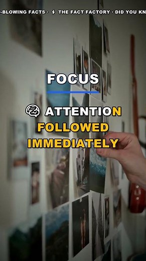 Why Your Brain Forgets Everything (And How to Fix It)