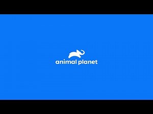Animal Planet (EMEA) - Continuity (November 1, 2025) (Macedonian)