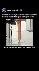 World's First Large Scaffold-Free Bioprinted Tissues Can Repair Damaged Joints #engineering #shorts
