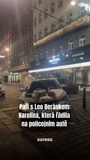 Po bujarém tahu noční Prahou předvedla striptýz přímo na kapotě policejního auta, předváděla lascivní pózy, vystrkovala zadek. Divoška Karolína Kavalová na nedělní večer jen tak nezapomene i z jiného důvodu. 👀 Za způsobení škody ve výši 20 tisíc korun ji policie obvinila z trestného činu poškození cizí věci. Což je pro ni problém, teprve nedávno byla propuštěna z vězení, kde seděla za krádeže a dro*y. 😳 👉 Více na Expres.cz #exprescz