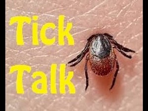 Tick Talk, A Comprehensive Guide to Preventing and Responding to Tick Bites