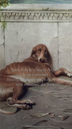 Vingt ans d’attente, un seul regard