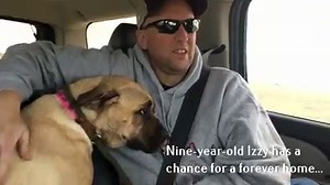 185K views · 2.3K reactions | We are often asked if our rescued dogs...