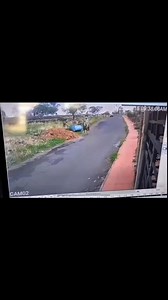 Ahorita vengo, voy por un caballo Todo empezó desde que lazó al perro | Charro Virtual