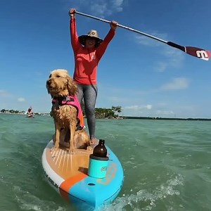 ⭐⭐⭐⭐⭐- "This Thing Is Freaking Awesome" Sarah T. - Verified Buyer. Our Non-Tipping Can Cooler is the first of its kind unspillable can cooler designed for your favorite refreshments, (Bud Anything, Coors, Miller Time, White Claws, Truly, Michelob Ultra, or whatever your heart desires). Our innovative suction cup technology allows it to stay upright while being hit or rocked. Simply place The Can Cooler on any smooth surface and it will keep your drink in place (securely up-right). To remove simp