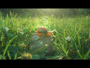 Campagne TV Flower Camping 2024