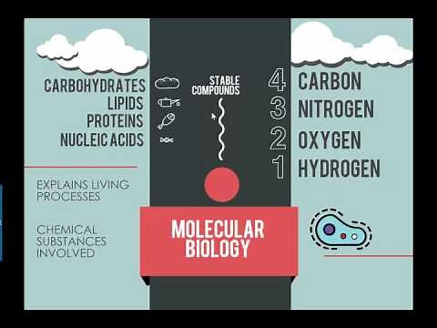 Intro to Molecular Biology (2016) IB Biology