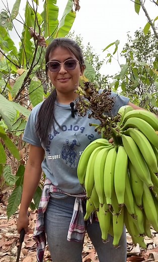 Cacao Cultivation Techniques in Ecuador's Agronomy