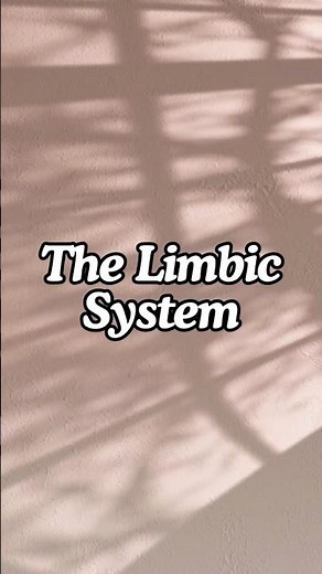 What is the Limbic System? 🧠