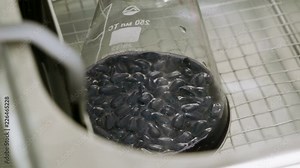 Scientific research. Scientist doing tests in chemical laboratory. 4K