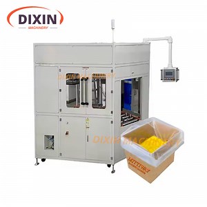 [Hot Item] Bag in Box Inserter Manufacture Poly Bag Inserting Machine