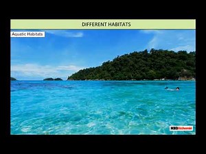 Living Organisms and Their Surroundings Class 6