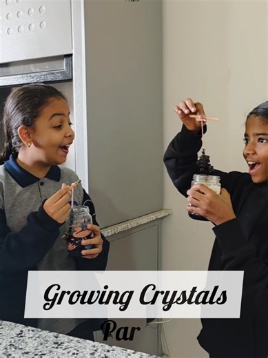 The Amazing Results of Our Crystal Growing Experiment