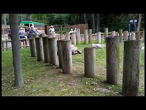 Binder Park Zoo - Battle Creek, MI