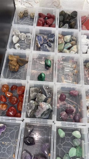 Wild bear jewelry on TikTok