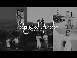 නිදහසේ අහන්න 🎶 Manoparakata Sinhala Song Collection | Mind Relaxing Sinhala Songs