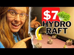 Growing Lettuce On Top Of My Fish Tank. How To Set Up A Hydroponic Raft System For Growing Produce.