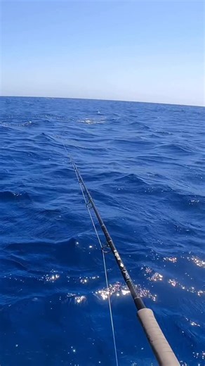 Savage Surface Smash💥🎣 #fishing #nature #pescaria #sea #naturephotography #naturelovers #sealife #pesca #fyp #ocean #fblifestyle | Mohssine Fishing