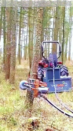 Trimming From the Trunk: How a Self-Climbing Robot Prunes With Precision