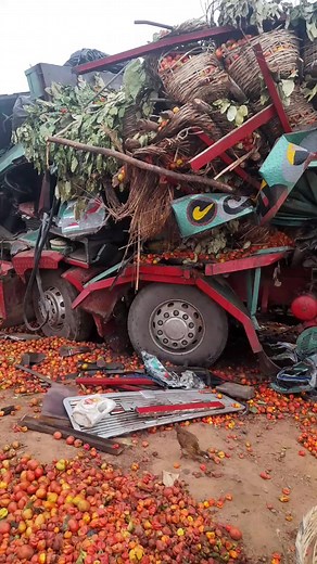 Truck Overturns Spilling Tomatoes on the Ground