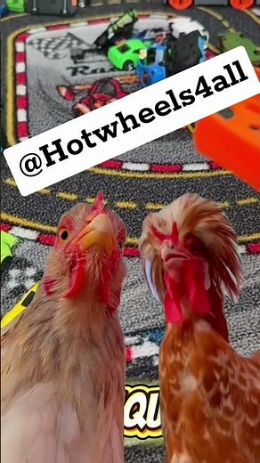 🫨🪇Chickens dancing while earth is shaking #hotwheels #jump