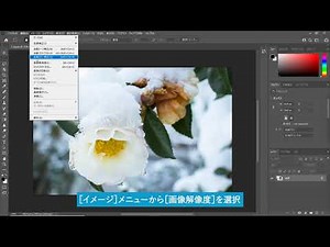 解像度を理解しよう（Photoshop よくばり入門）