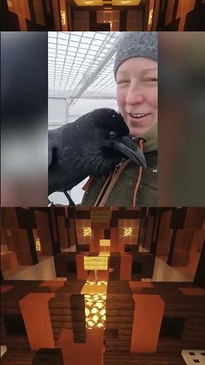 Animals That Can Talk and You Didn’t Know 😮