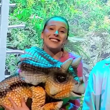 1.1K views | 練Get ready for a ROARSOME time!  DINOSAUR ADVENTURE...