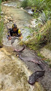 4M views · 20K reactions | Easy catch | Ran Olivares | Facebook