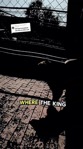 Understanding Labrador Dogs: An Insightful Guide