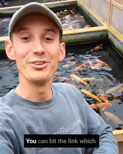 5.7K views · 95 reactions | We CAN'T BELIEVE the phenomenal response we've had so far to our latest video! ❤️ | Cuttlebrook Koi Farm | Facebook