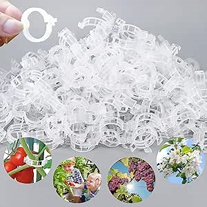 Tomato Clips for Climbing Plants, Reusable Plastic Tomato Clips Clear, Tomato Trellis Clips for Plants Support, Secured Plastic Plant Clip for Tomatoes Vines Climbing Supplies 100pcs