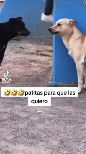 JULIETA TORRES on TikTok