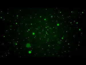 Smooth green dust particles background free fullHD VFX