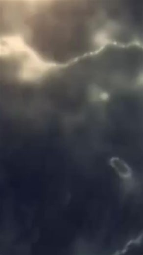 The General Tiger 🐅 B (@thegeneraltigerb)’s videos with original sound - @Sphokie