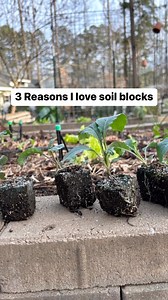 Have you tried soil blocking yet? What’s holding you back? #soilblocks #soilblocking #swiftblocker #peatfree #seedlings #zone7b | The Ever Hopeful Gardener