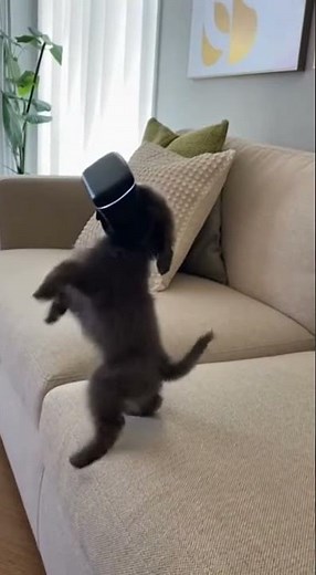 Ready Player Two ▶️