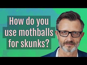 How do you use mothballs for skunks?