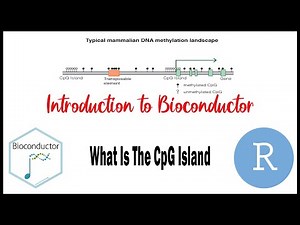15 | Bioinformatics | What Is The CpG Island