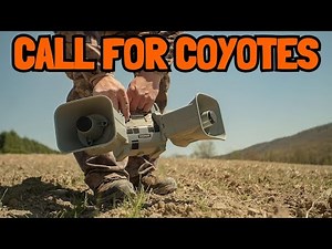 Best Call for Coyotes – This Call Will Change Everything!