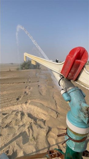Process of using sprinkler raingun for farmland irrigation #sprinkler #raingun #irrigation #shorts
