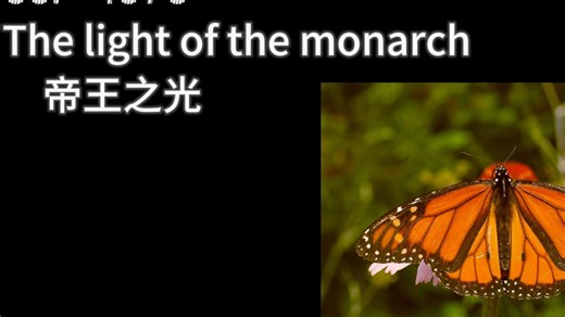 （自制SCP）SCP-4375 帝王之光