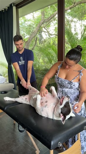 Doing fascia therapy on my dog